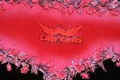 Photo 72 - VALENTIN OU CELIBATAIRE 