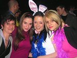 Photo 90 - Carnavo