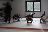 Photo 55 - Scéance de Sport - Candidates Miss Tournai