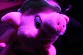 Photo 3 - La Nuit La Plus Cochone