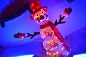 Photo 3 - MAGIC CHRISTMAS 