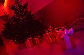 Photo 4 - MAGIC CHRISTMAS 