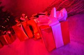 Photo 5 - MAGIC CHRISTMAS 