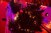 Photo 7 - MAGIC CHRISTMAS 