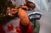 Photo 10 - MAGIC CHRISTMAS 