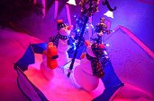 Photo 11 - MAGIC CHRISTMAS 