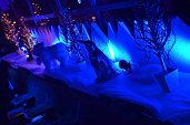 Photo 15 - MAGIC CHRISTMAS 