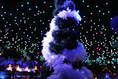 Photo 17 - MAGIC CHRISTMAS 