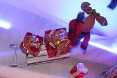 Photo 23 - MAGIC CHRISTMAS 