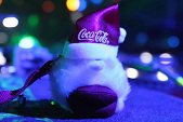 Photo 47 - MAGIC CHRISTMAS 