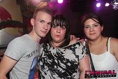 Photo 21 - NOISECONTROLLERS 