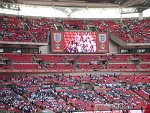 Photo 134 - Match amical Angleterre - Belgique 