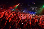 Photo 221 - BASS FUSION ANGERFIST 