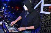 Photo 228 - BASS FUSION ANGERFIST 