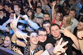 Photo 239 - BASS FUSION ANGERFIST 