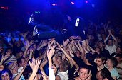 Photo 240 - BASS FUSION ANGERFIST 