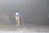 Photo 52 - Carnavo