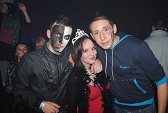 Photo 273 - Carnavo