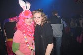 Photo 275 - Carnavo