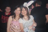 Photo 321 - Carnavo