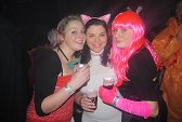 Photo 348 - Carnavo
