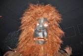 Photo 444 - Carnavo