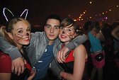 Photo 463 - Carnavo