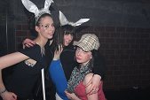 Photo 514 - Carnavo