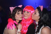 Photo 595 - Carnavo