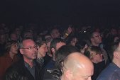 Photo 106 - Machiavel en concert
