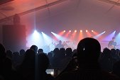 Photo 139 - Machiavel en concert