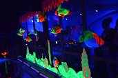 Photo 11 - TOTAL FLUO 