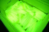 Photo 93 - TOTAL FLUO 