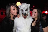 Photo 116 - MEGA NEIGE PARTY 