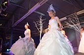 Photo 287 - Election Miss Tournai 