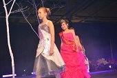 Photo 306 - Election Miss Tournai 