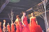 Photo 368 - Election Miss Tournai 