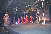 Photo 370 - Election Miss Tournai 