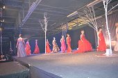 Photo 371 - Election Miss Tournai 