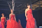 Photo 376 - Election Miss Tournai 