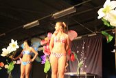 Photo 520 - Election Miss Tournai 