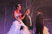 Photo 132 - Election Miss Tournai suite