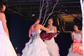 Photo 157 - Election Miss Tournai suite