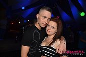 Photo 92 - EN CORE! 