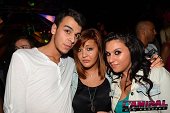 Photo 243 - EN CORE! 