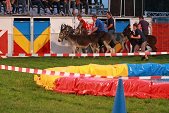 Photo 68 - Popuelles Féria  Soirée 1-2