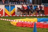 Photo 69 - Popuelles Féria  Soirée 1-2