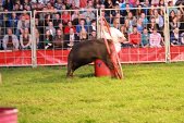 Photo 109 - Popuelles Féria  Soirée 1-2