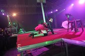 Photo 238 - Jeux inter-comités  Show Streap Tease