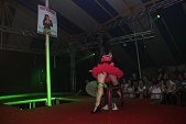 Photo 240 - Jeux inter-comités  Show Streap Tease